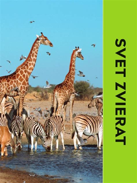 Ukážka aplikácie na animáciu zvierat