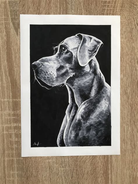 Portrét psa plemena ASMAR MISS Kalimantana