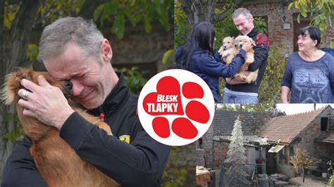 Pes schovaný v tichom kúte