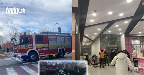 Pes v nákupnom centre