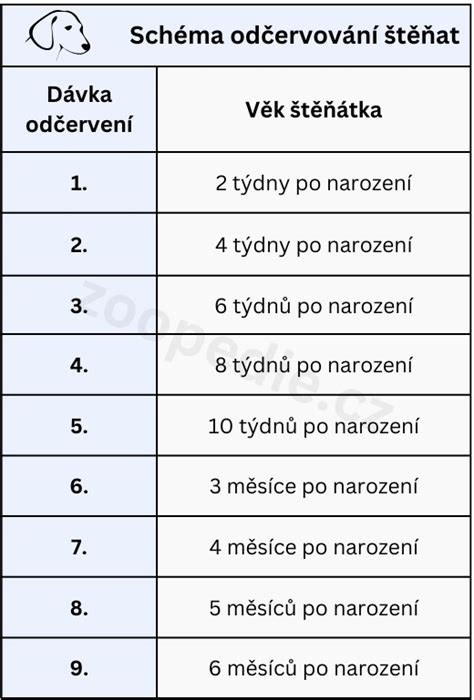 Schéma bezpečného zoznámenia psa a dieťaťa