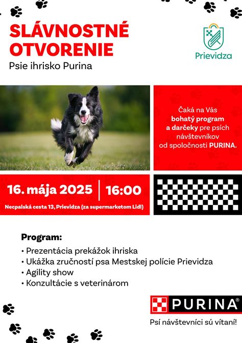 Ukážka tréningu psa pre filmové scény