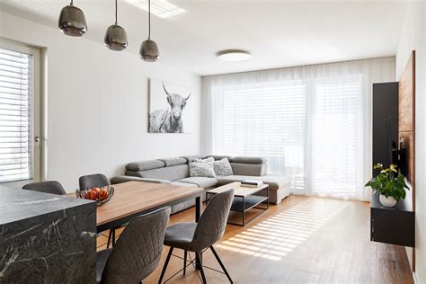 Interiér bytu s pitbulom