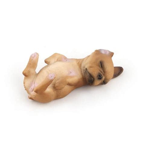 Hračka pre francúzskeho buldočka