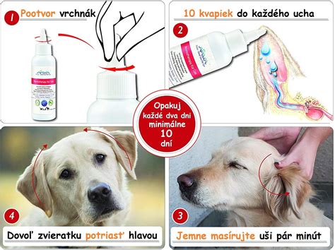 Pestovanie byliniek pre starostlivosť o uši psa