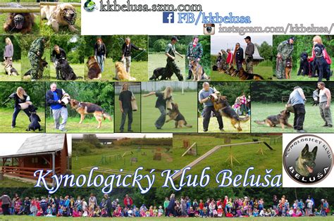 Logo Kynologického klubu