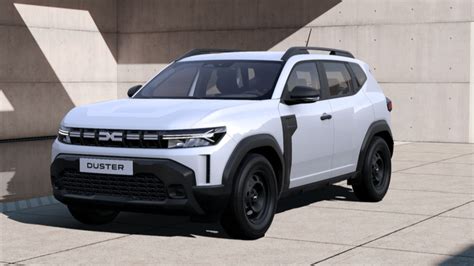 Detailný pohľad na vzhľad bolonského psíka