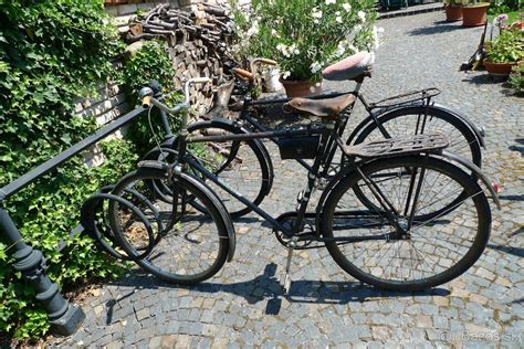 Historické vyobrazenie nemeckého pinča