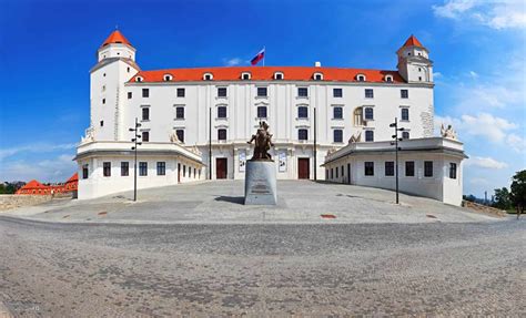 Zaujímavosti o Rodézskom Ridgebackovi