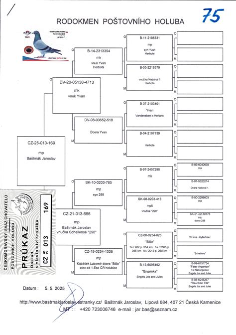 História argentínskej dogy - rodokmeň a kríženie plemien