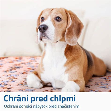 Schematický nákres antistresového vankúša pre psov