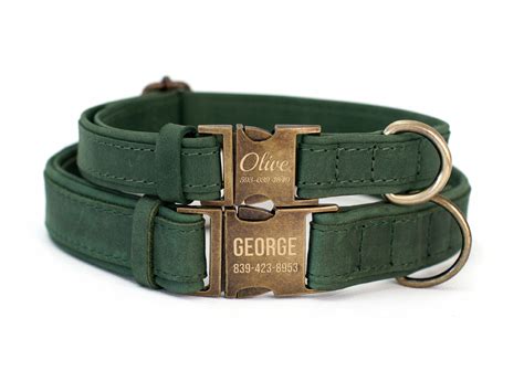 Ilustrácia rôznych typov obojkov pre psov s kovovou sponou