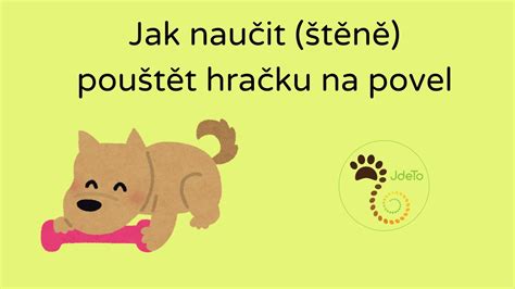 Šteňa cvičené na povel