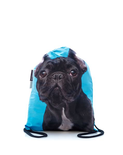 Ilustrácia francúzskeho buldočka s plaveckou vestou