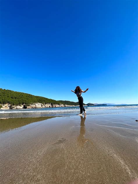 Ilustračná fotografia chrtov v pohybe