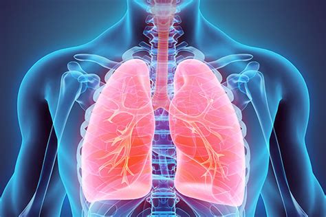 Ilustrácia horných dýchacích ciest