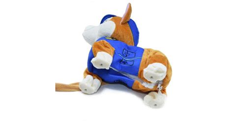 Pes sa hrá so zvukovou hračkou