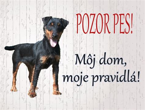 Pes močiaci na rohový dom