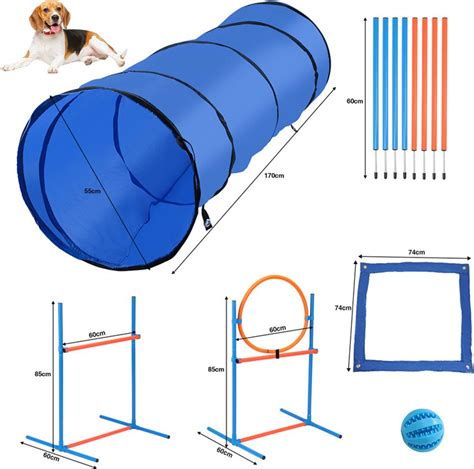 Obrázok psa pri výcviku agility