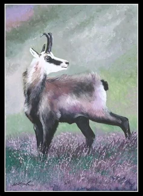 Staroveké maľby zobrazujúce psov podobných deerhoundom