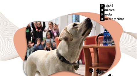 Štruktúra výcviku vodiaceho psa