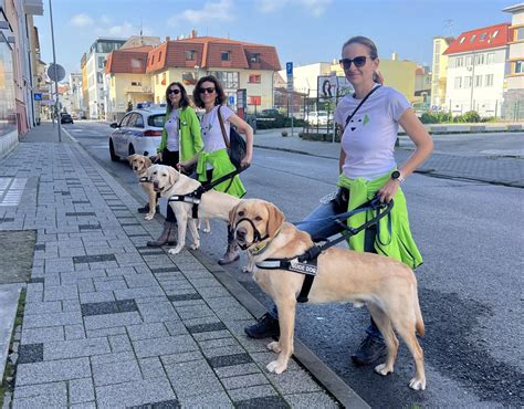 Ikony symbolizujúce miesta s povoleným vstupom pre vodiace psy