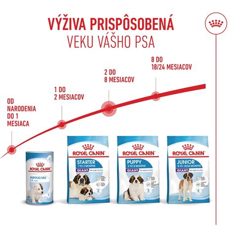 Fázy rastu šteniatka