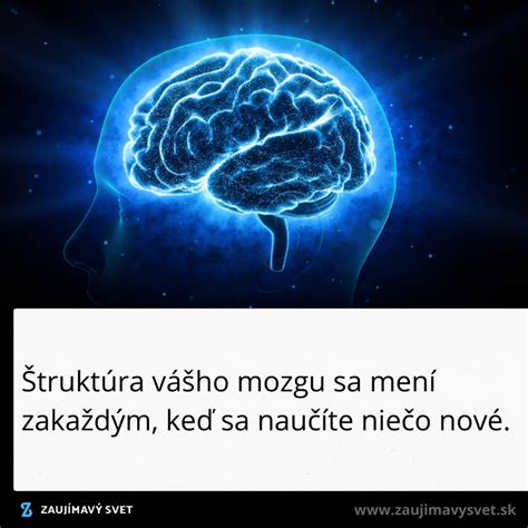 Štruktúra mozgu psa spracúvajúca zvuky