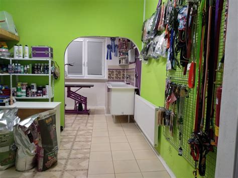 Štýlový salón pre psov