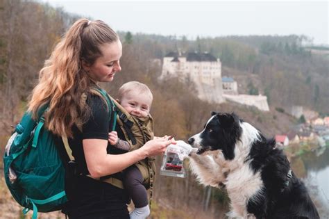 starostlivosť o psa a fenku