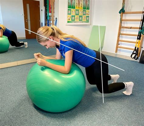 Pes cvičiaci na fitlopte ako súčasť rehabilitácie