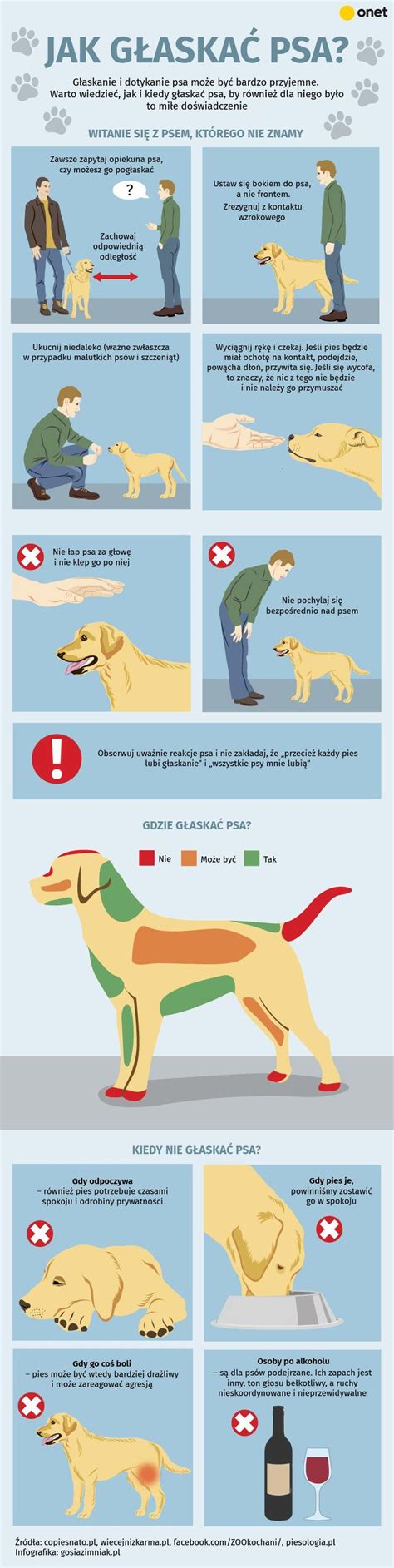 Infografika o podmienkach prijatia psa