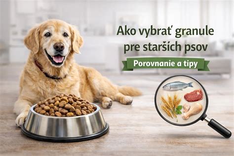 Porovnanie krmív pre psov