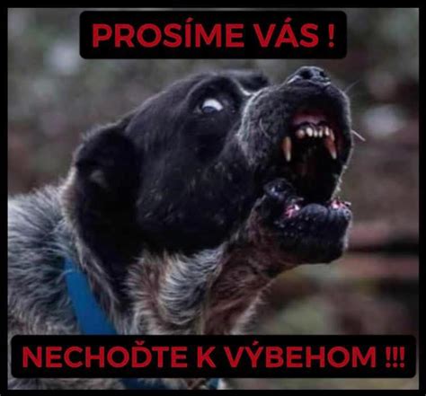 Ukážka rôznych typov výstražných tabúľ s psami