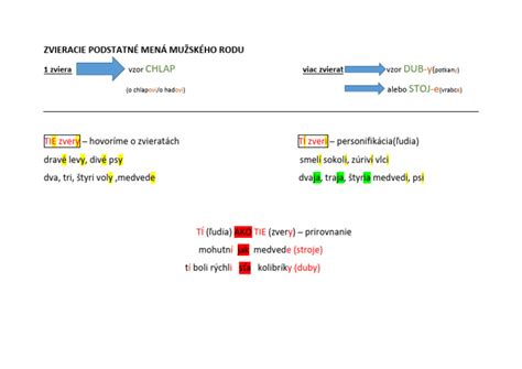 Infografika znázorňujúca správne a nesprávne tvary zvieracích podstatných mien