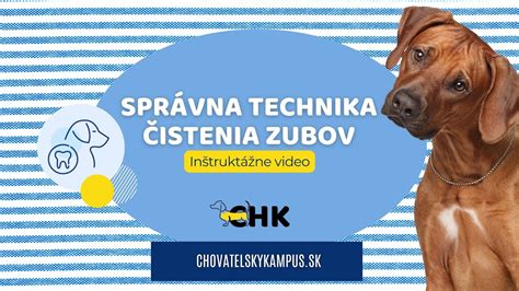 Ilustrácia správneho postupu čistenia očí psa