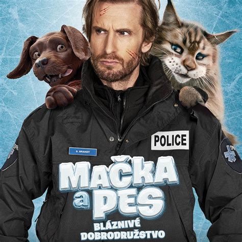 Pes a mačka spoločne oddychujú