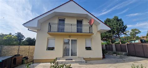 Pes pokojne sa stravujúci v tichom prostredí