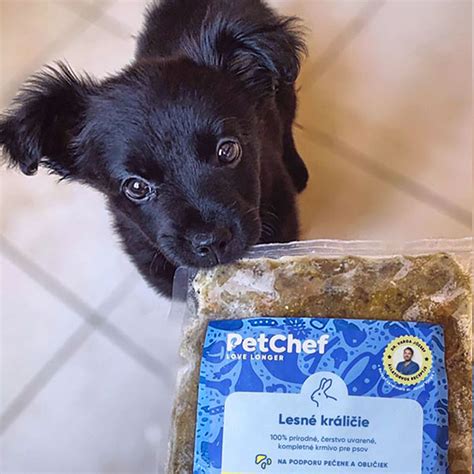 Checklist pre majiteľov psov s problémom zakopávania jedla