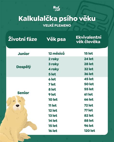 Infografika porovnávajúca počet čuchových receptorov u psa a človeka