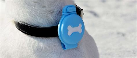 Štítok na obojku asistenčného psa