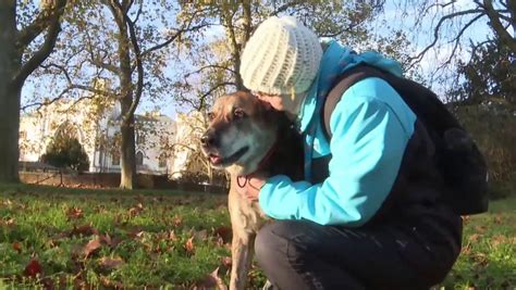 Šťastný diabetik so svojím asistenčným psom