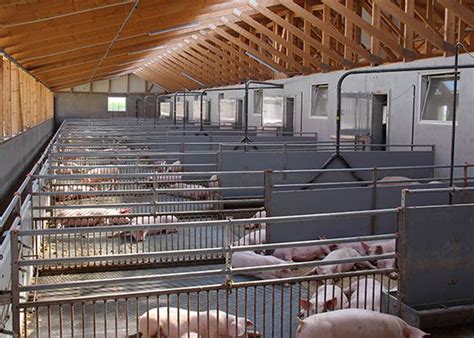 Vizualizácia moderného pôrodného koterca pre ošípané