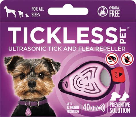 Ilustrácia rôznych druhov kliešťov a bĺch