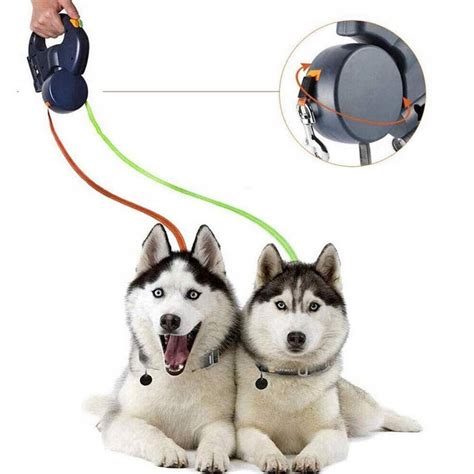 príprava domácnosti pre dvoch psov