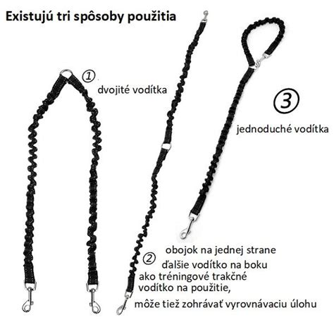 prvé stretnutie dvoch psov na vodítku