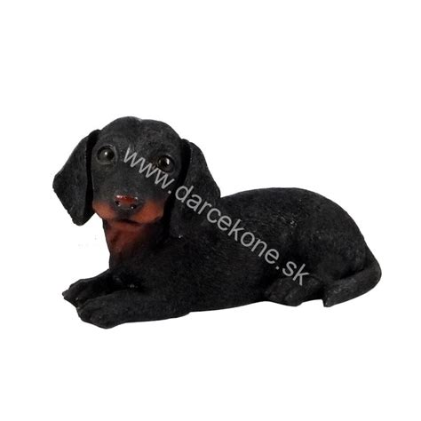 Pes ležiaci v apatickom stave