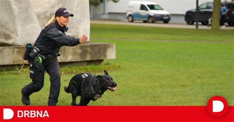 Pes v policajnej uniforme
