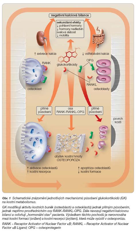 Tabuľka porovnania prednisonu a alternatívnych liečebných metód
