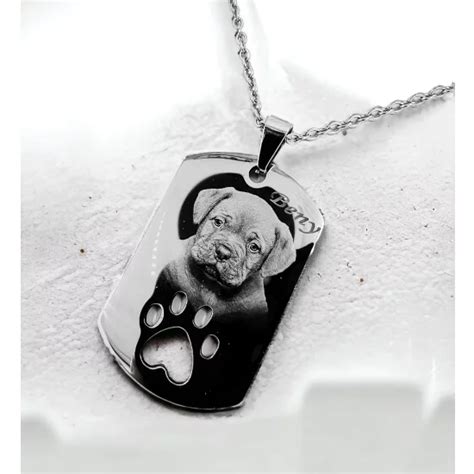 Pes so zranenou labkou